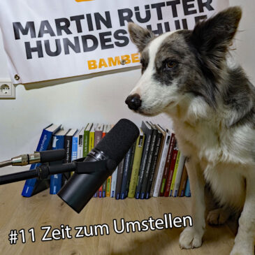 Episode 11: Zeit zum Umstellen