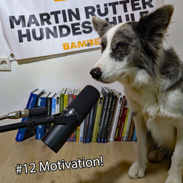 Episode 12: Motivation!